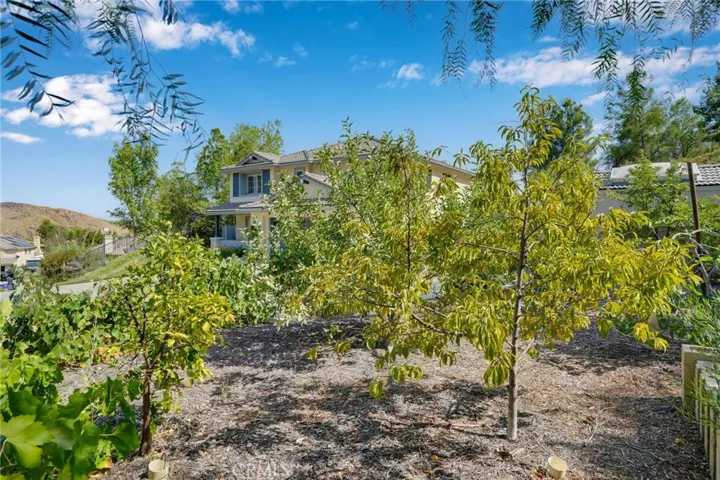 28619 Black Oak Lane, Castaic, California 91384