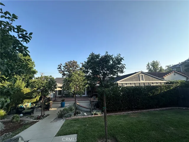 view from backyard studio