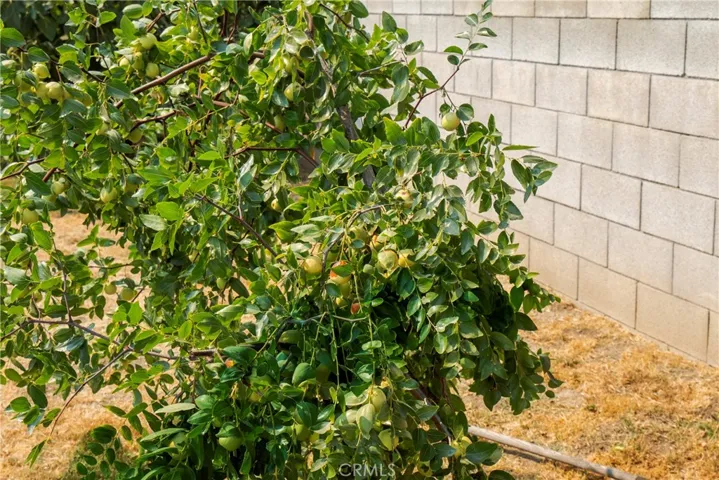 16825 Park Rock Drive, La Puente, California 91744