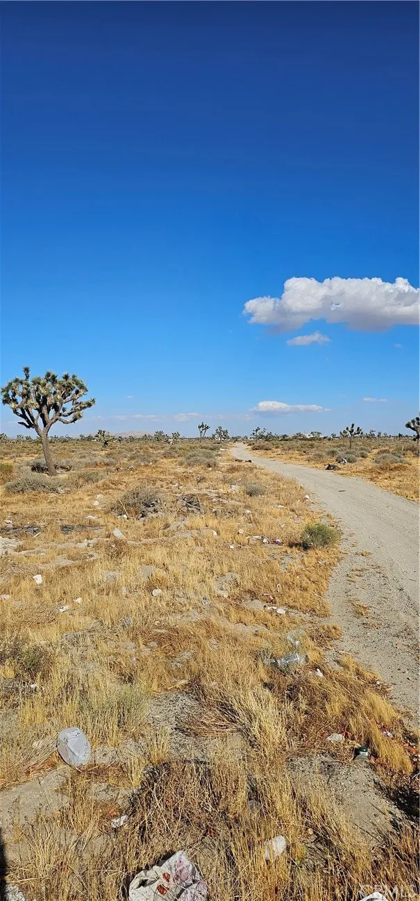 FACING EAST