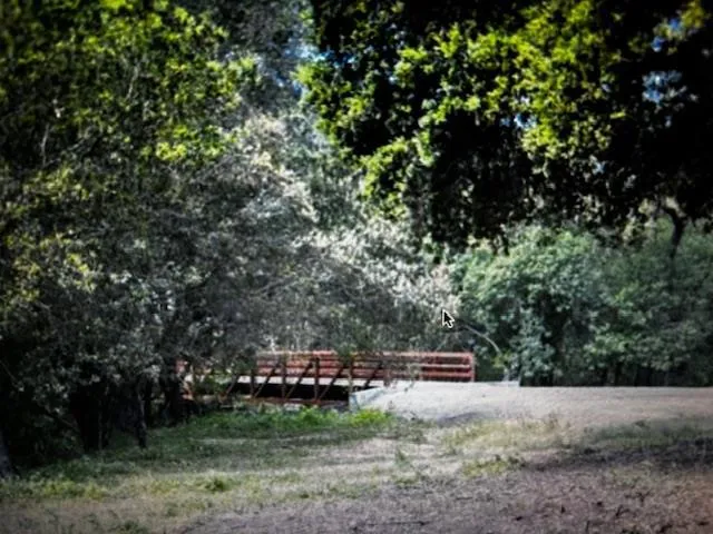 3343 Alpine Rd