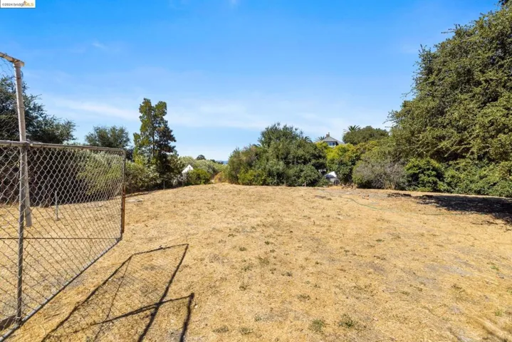 Large Backyard