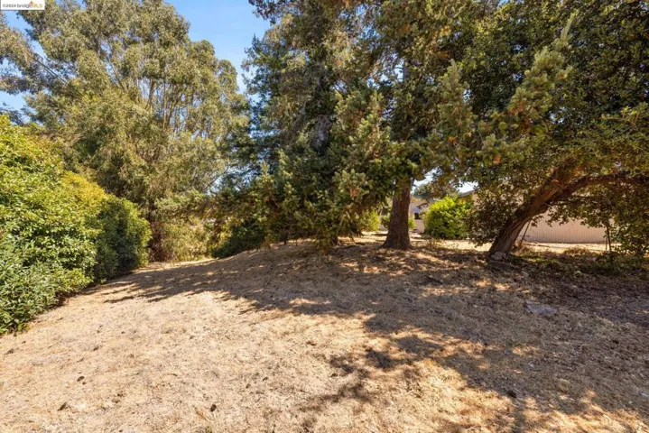 View of Backyard