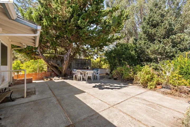 Back Patio