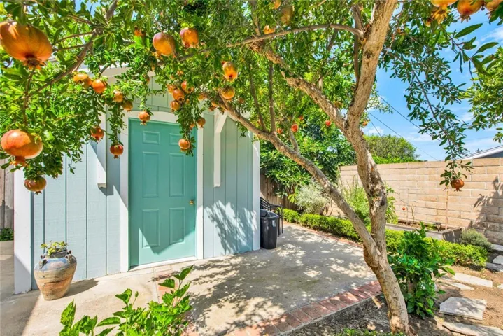 Custom Shed and Lots of Fruit Trees