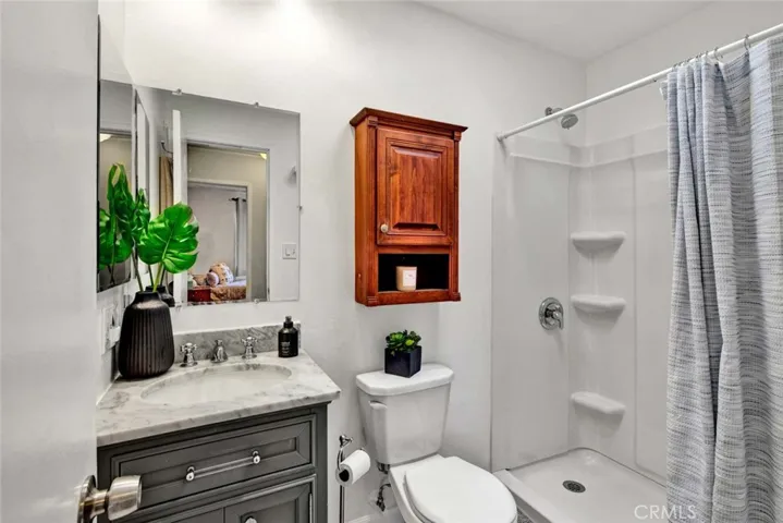 All New Guest Bathroom Boasts Shower with New Surround, Skylight, New Vanity, and New Fixtures