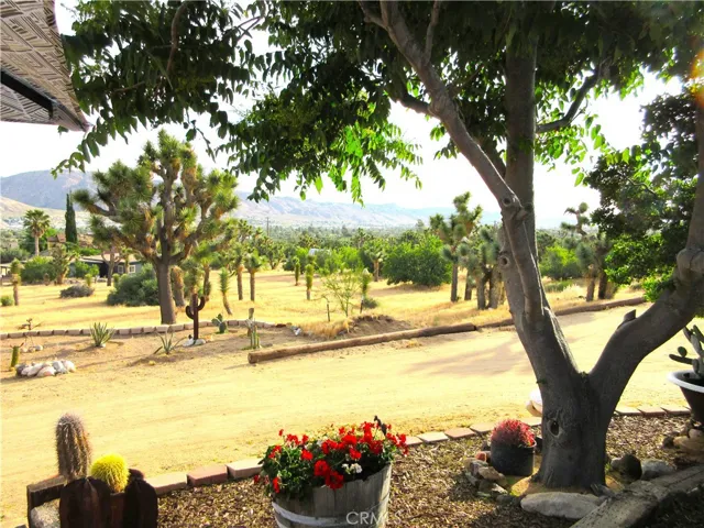 8259 Eneva Street, Yucca Valley, California 92284
