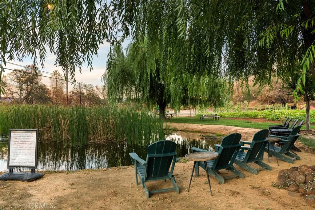 pond