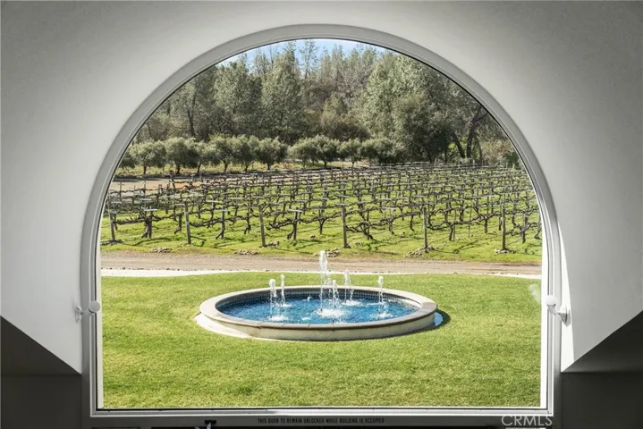 view from 2nd floor to vineyard