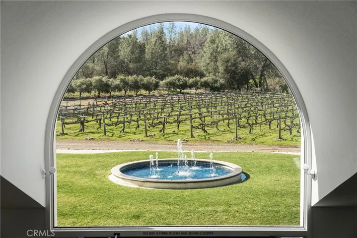 view out 2nd floor window to vineyard