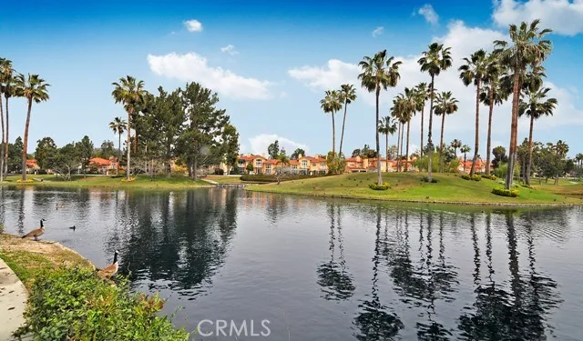 The local geese enjoying one of the ponds at The Tustin Ranch Golf Course!