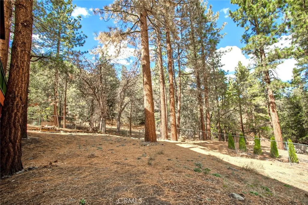 23109 Cardinal Road, Wrightwood, California 93563 home-pic-39