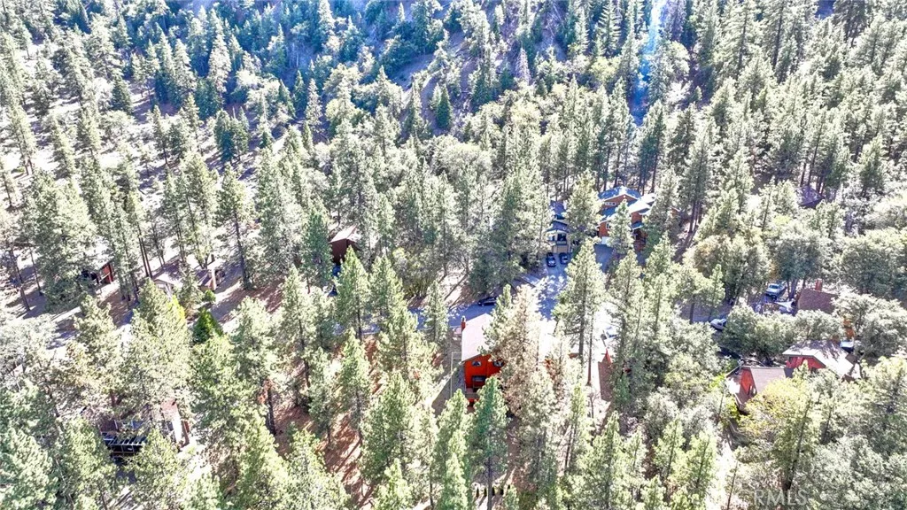 23109 Cardinal Road, Wrightwood, California 93563 home-pic-46