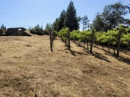 173 Meadowcroft Way, Santa Rosa, California 95403
