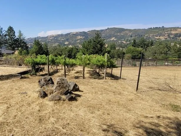 173 Meadowcroft Way, Santa Rosa, California 95403