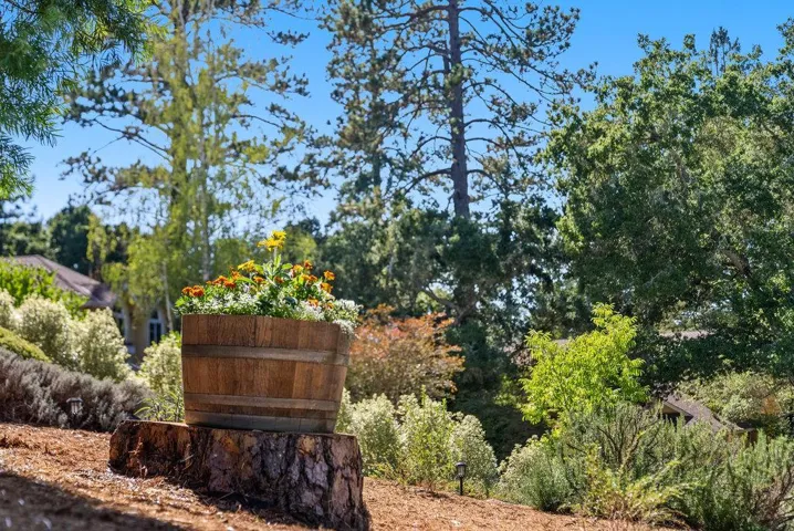 104 Baja Sol Drive, Scotts Valley, California 95066