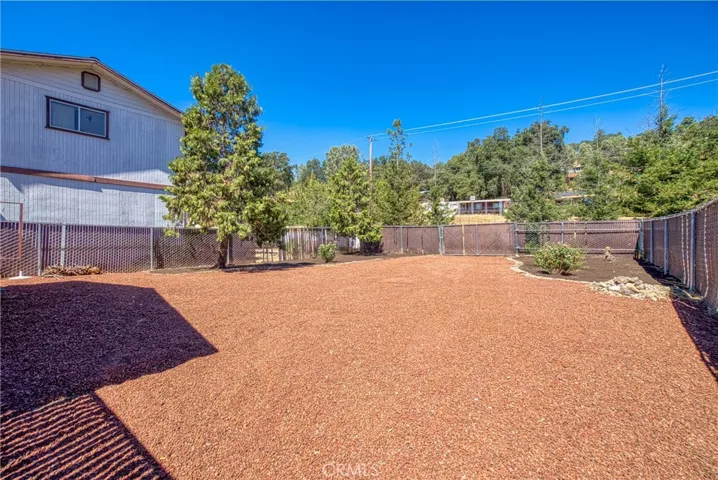 Backyard.