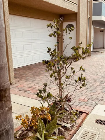 5204 Neptune Ave, Newport Beach, California 92663