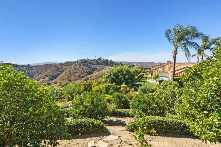 View looking down from the top of the family citrus orchard to the house.