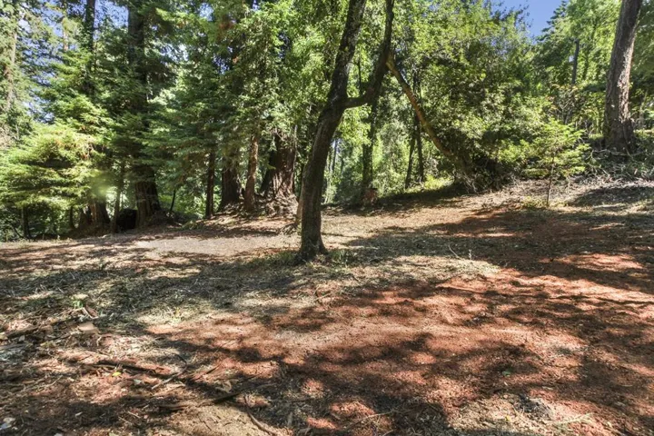 233 Redwood Road, La Honda, California 94020