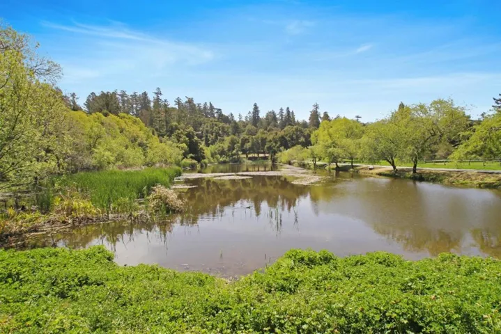 233 Redwood Road, La Honda, California 94020