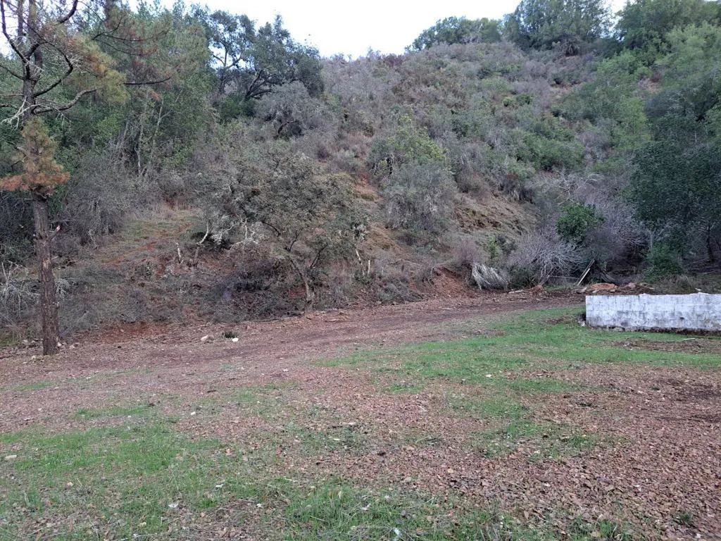 4417 Casa Loma Rd
