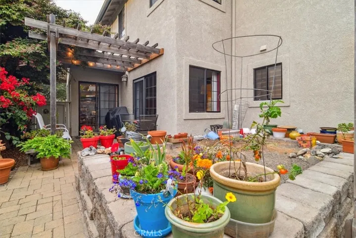 Backyard Patio