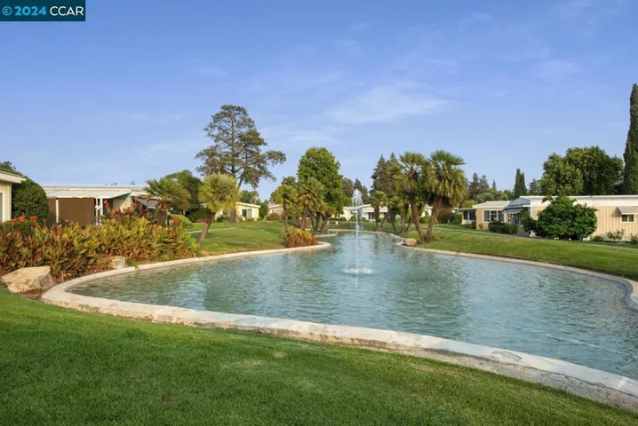 COMMUNITY POND
