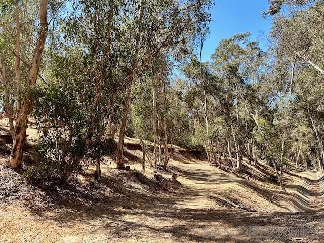 Trails close by