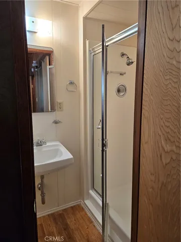 Downstairs bathroom shower