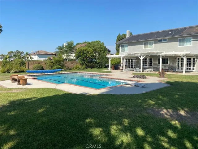 Large Backyard Pool- Swim lanes- Baja Shelf- Diving Board
