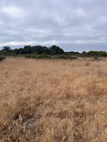110 Dolores Avenue, Half Moon Bay, California 94019 — photo 4