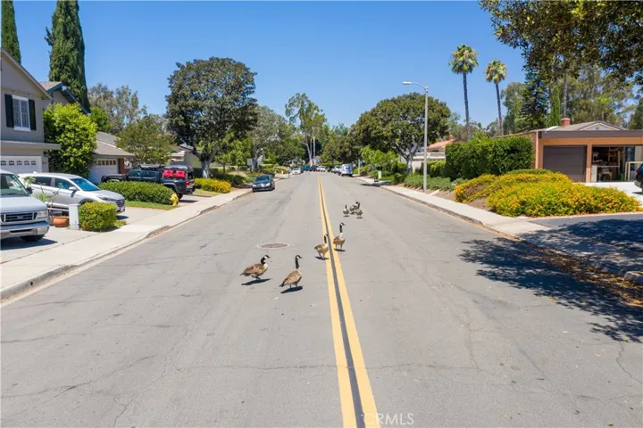 24585 Overlake Drive, Lake Forest, California 92630