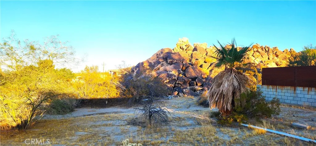 6835 Mount Shasta, Joshua Tree, California 92252