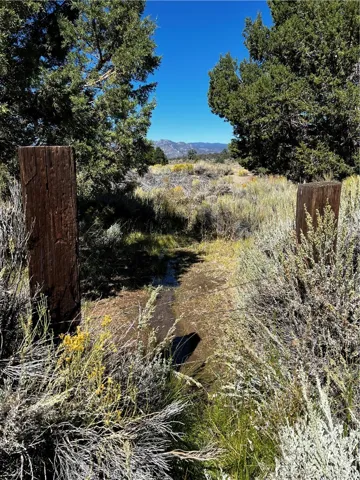 Spring with running stream