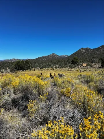 Pasture