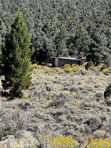 Horse facilities