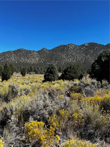 15 Sacatar Ranch Road, Kennedy Meadows, California 93527