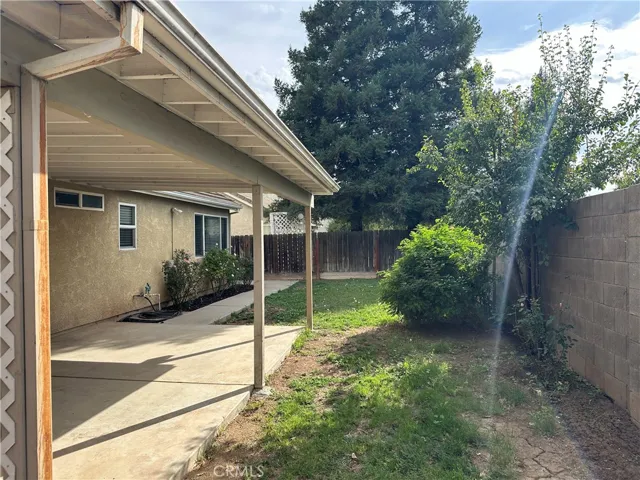 Backyard 2