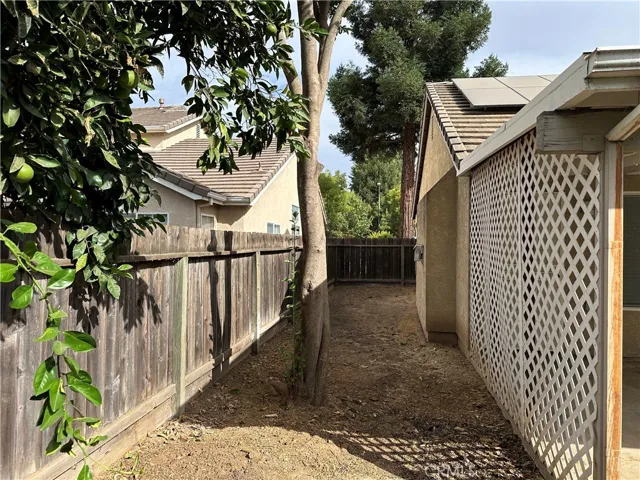 Backyard 4