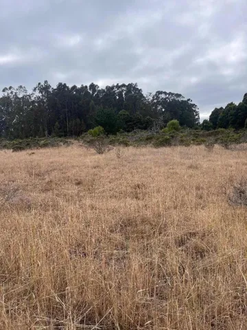 200 Dolores Avenue, Half Moon Bay, California 94019 — photo 5