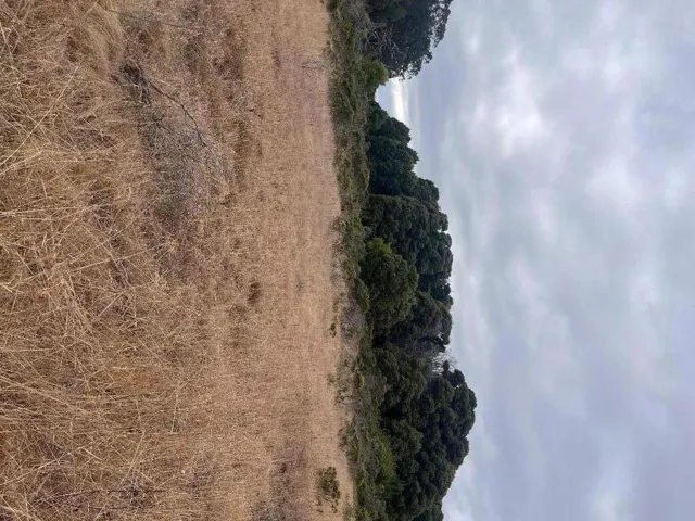 200 Dolores Avenue, Half Moon Bay, California 94019 — photo 4
