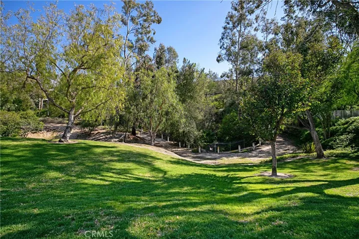 HOA Amenities