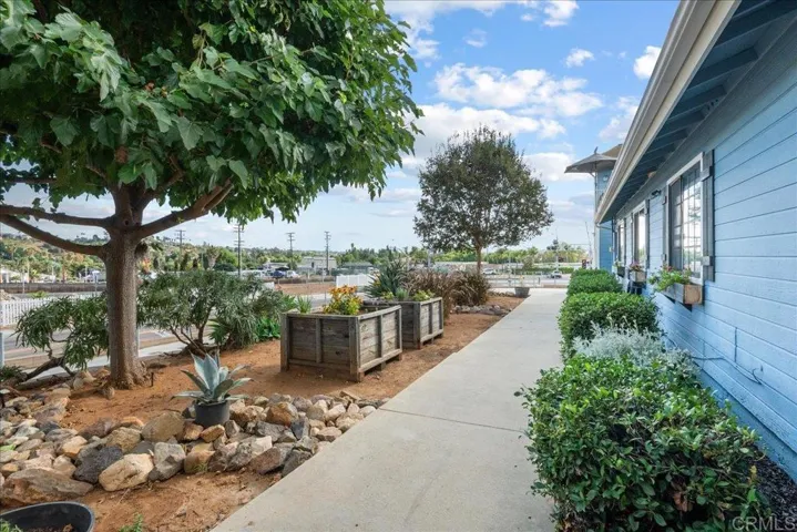 View of the garden boxes in front yard from elevated walkway