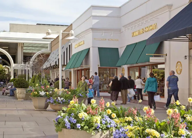 131 Hawthorne Avenue F, Palo Alto, California 94301
