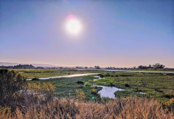670 San Antonio Road 6, Palo Alto, California 94306