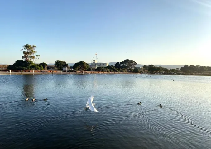 670 San Antonio Road 6, Palo Alto, California 94306