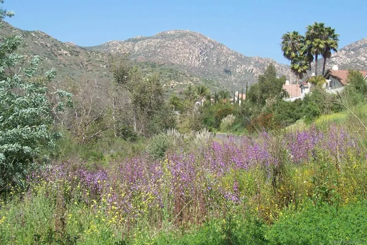 15763 Quiet Valley Lane, Poway, California 92064