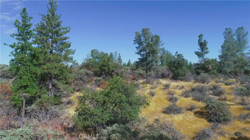 5260 Tip Top Road, Mariposa, California 95338