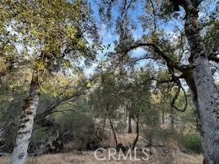 4116 Silver Bar Rd., Mariposa, California 95338